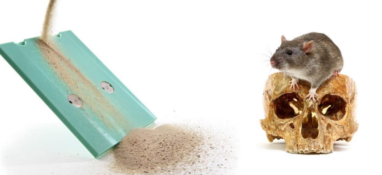 When ratholes nibble away at Industry 4.0 advances, lowfriction